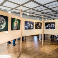 Peter Jansen - BEFO-2017-Vernissage