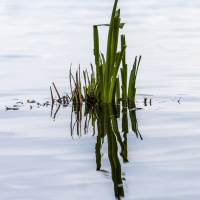 Spaziergand am Südsee - (Foto: Peter Jansen)