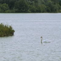 Spaziergand am Südsee - (Foto: Jochen Dressler)