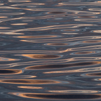 Spaziergand am Südsee - (Foto: Christine Wunderlich)