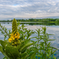 Spaziergand am Südsee - (Foto: Heinz-Gerhard Ott)