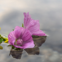 Spaziergand am Südsee - (Foto: Heinz-Gerhard Ott)