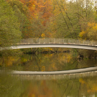 Klaus Stückle