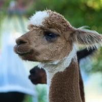 Achim-Uebelhoer-0001