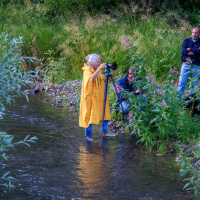 Heinz-Gerhard Ott - Filterfotografie Schwendi
