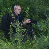 Heidi Halder - Filterfotografie Schwendi