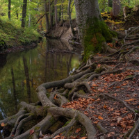 Christine Wunderlich - Starnberg 03