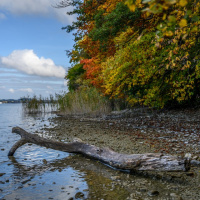 Heinz-Gerhard Ott - Starnberg 02