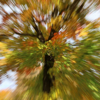 Maureen Schwarz - Starnberg 02