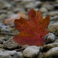 Sandra Denzel -Starnberg 02