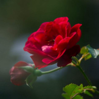 Sandra Denzel -Starnberg 05