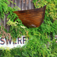 Steffen Moll -Starnberg 01