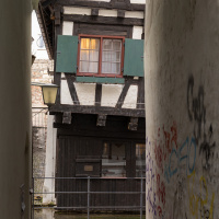 038_Frei_05