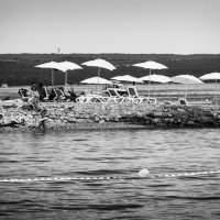 070_FREI_-1