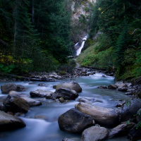329_frei_1