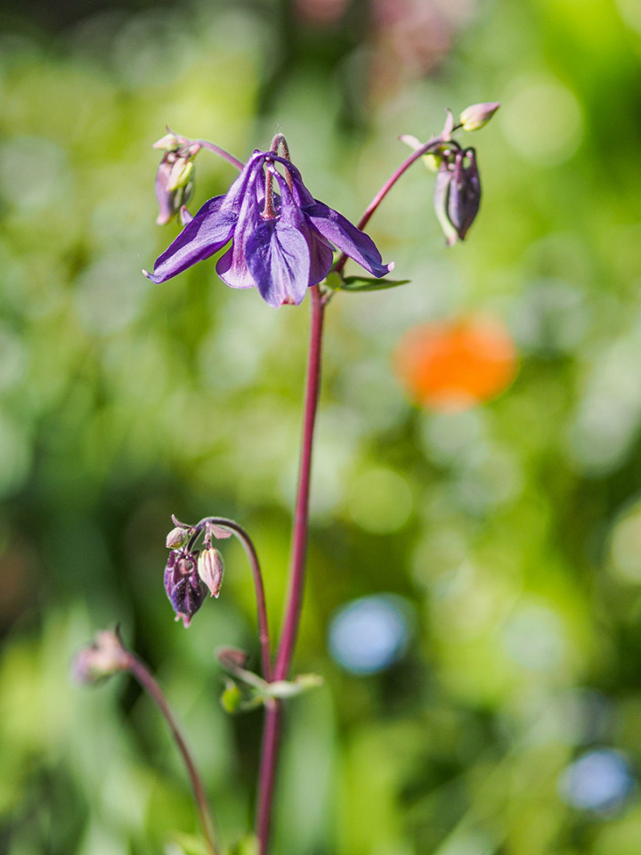 OLYMPUS DIGITAL CAMERA OLYMPUS DIGITAL CAMERA