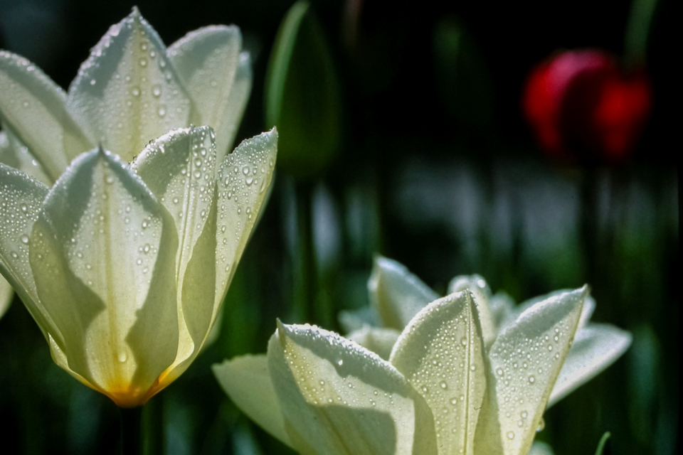 Photo information: 
Film type: 135. 
Lens serial number: . 
Film manufacturer: . 
Film name: . 
Alias: . Photo information: 
Film type: 135. 
Lens serial number: . 
Film manufacturer: . 
Film name: . 
Alias: .