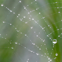 038_Bokeh_001 038_Bokeh_001