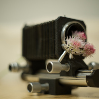 141_Bokeh_03.jpg 141_Bokeh_03.jpg