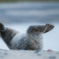 237_Bokeh_03.JPG 237_Bokeh_03.JPG