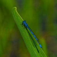 304_Bokeh_03 304_Bokeh_03