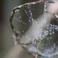 329_Bokeh_1 329_Bokeh_1