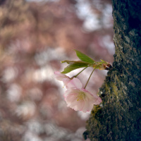 329_Bokeh_2 329_Bokeh_2