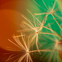 331_Bokeh_01-scaled