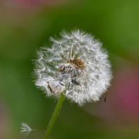 332_Bokeh_02 332_Bokeh_02