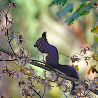 332_Bokeh_03 332_Bokeh_03