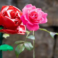 Jochen Dressler Kontraste 01