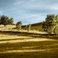 Peter Jansen Kontraste 01