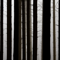 Manfred Schroth Kontraste 02