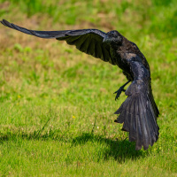 Manfred Weiner Kontraste 02