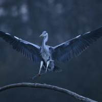 Manfred Weiner Kontraste 03