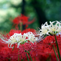 Sandra Denzel Kontraste 01