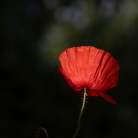 Christine Denzel Kontraste 02