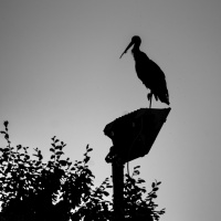 Christine Denzel Kontraste 03