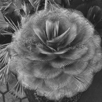 329_Runde-Formen_03