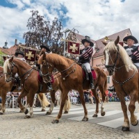 Laupheimer Kinder- und Heimatfest 2016 / Foto Dirk Zimmermann