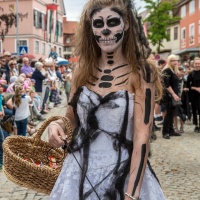 Laupheimer Kinder- und Heimatfest 2016 / Foto Dirk Zimmermann