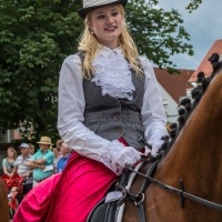 Laupheimer Kinder- und Heimatfest 2016 / Foto Dirk Zimmermann