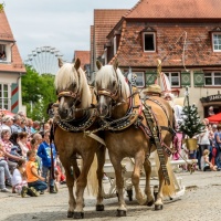 Laupheimer Kinder- und Heimatfest 2016 / Foto Dirk Zimmermann