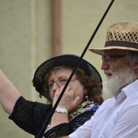 Laupheimer Kinder- und Heimatfest 2016 / Foto Peter Tietze