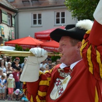 Laupheimer Kinder- und Heimatfest 2016 / Foto Otto Marx