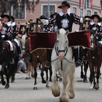 Laupheimer Kinder- und Heimatfest 2016 / Foto Otto Marx
