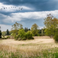 5DZ_1230-HDR-Bearbeitet Kopie
