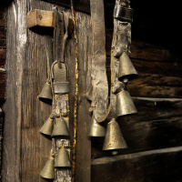 Exkursion Museumsdorf und Kloster B. Schussenried - (Foto: Frank Gramlich)