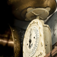 Exkursion Museumsdorf und Kloster B. Schussenried - (Foto: Frank Gramlich)