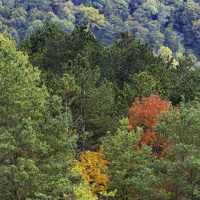 Herbstausflug Blaubeuren - Dirk Zimmermann